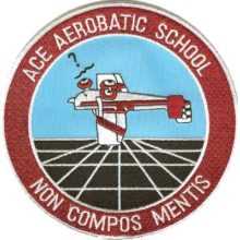 ACE Aerobatic School