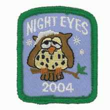 Night Eyes