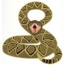Rattler Patch