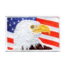Combination Patch Eagle Flag