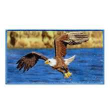 Combination Patch Eagle Fly