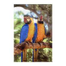 Combination Patch Tropical Birds