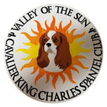 Valley of The Sun Patch